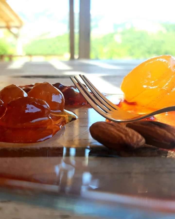 Ferma Albanik Hotel Kelcyre Ngoại thất bức ảnh
